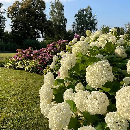 Villa Felice_unesco Alps Area Verzuolo